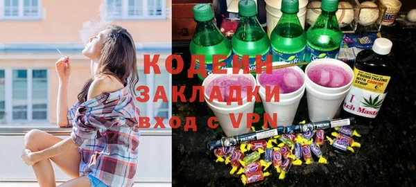 стаф Осинники