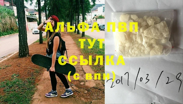 стаф Осинники