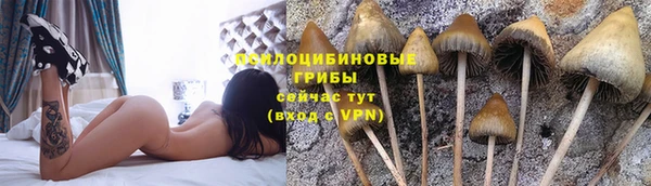 мяу мяу мука Абдулино